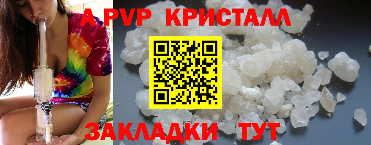 Альфа ПВП СК КРИС Гуково