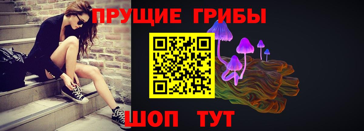 Гуково  Псилоцибиновые грибы мухоморы  где продают наркотики  Галлюциногенные грибы мухоморы  Вход с VPN 